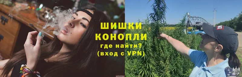 купить наркотик  Кисловодск  МАРИХУАНА ГИДРОПОН 